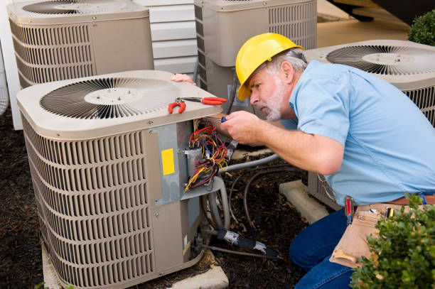 Best HVAC Air Duct Cleaning  in Starbuck, MN