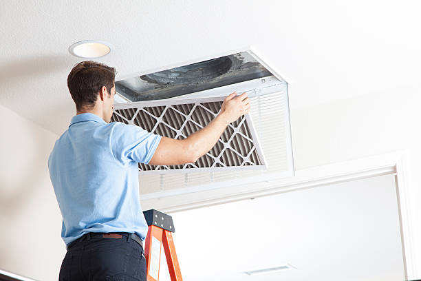 Best Affordable HVAC Services  in Starbuck, MN